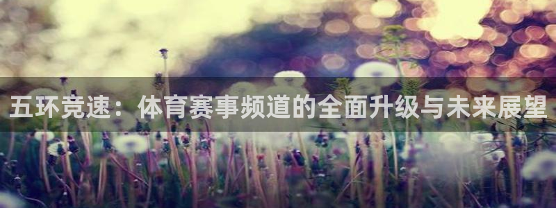 五环竞速：体育赛事频道的全面升级与未来展望