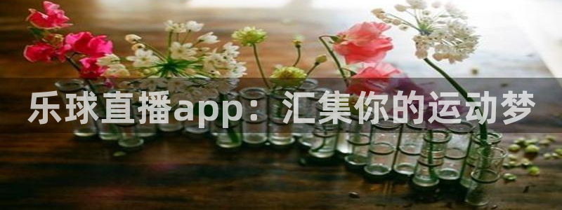 乐球直播app：汇集你的运动梦