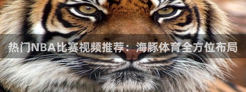 热门NBA比赛视频推荐：海豚体育全方位布局