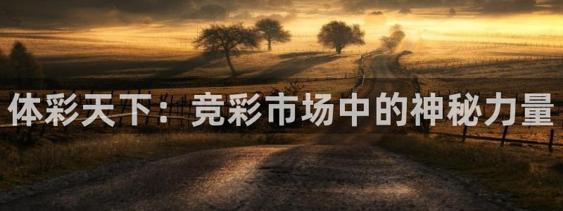 体彩天下：竞彩市场中的神秘力量