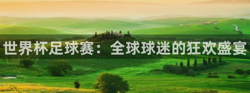 世界杯足球赛：全球球迷的狂欢盛宴
