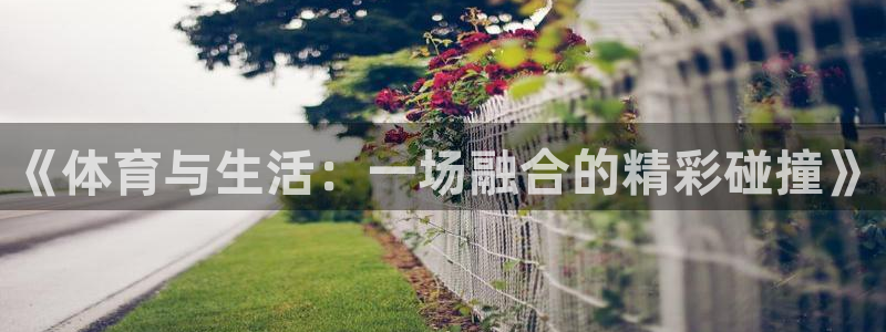 《体育与生活：一场融合的精彩碰撞》