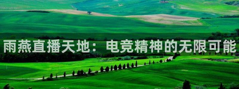 雨燕直播天地：电竞精神的无限可能