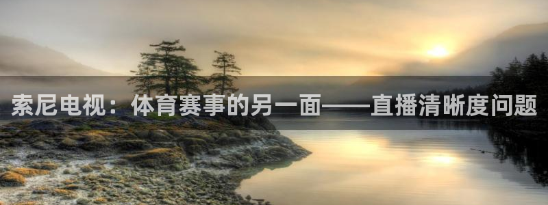 索尼电视：体育赛事的另一面——直播清晰度问题