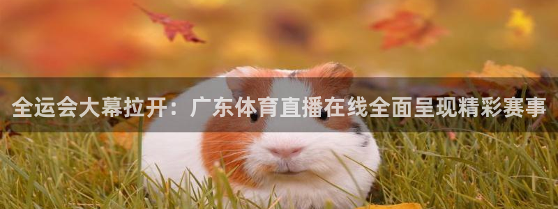 全运会大幕拉开：广东体育直播在线全面呈现精彩赛事