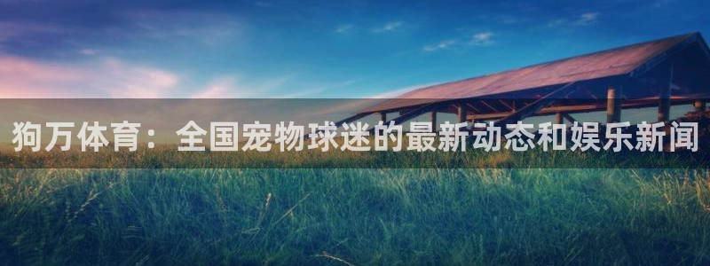 狗万体育：全国宠物球迷的最新动态和娱乐新闻
