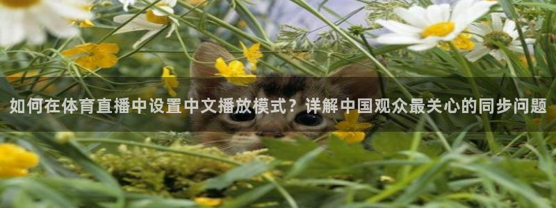 如何在体育直播中设置中文播放模式？详解中国观众最关心的同步问题