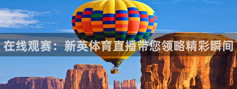 在线观赛：新英体育直播带您领略精彩瞬间