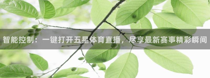智能控制：一键打开五星体育直播，尽享最新赛事精彩瞬间