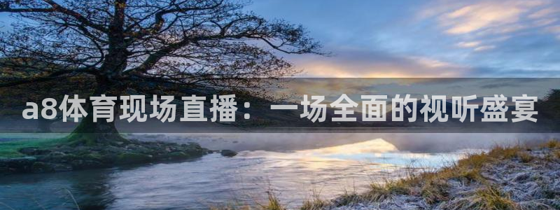 a8体育现场直播：一场全面的视听盛宴