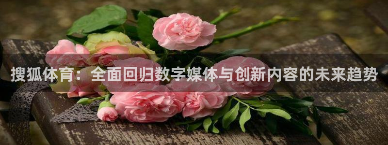 搜狐体育：全面回归数字媒体与创新内容的未来趋势