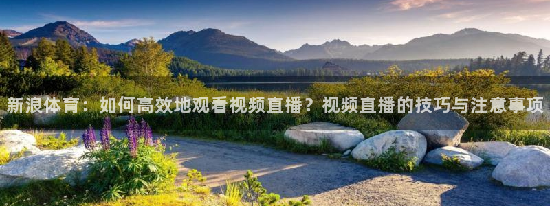 新浪体育：如何高效地观看视频直播？视频直播的技巧与注意事项