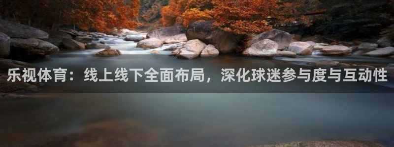 乐视体育：线上线下全面布局，深化球迷参与度与互动性