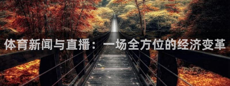 体育新闻与直播：一场全方位的经济变革