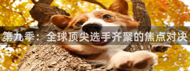 第九季：全球顶尖选手齐聚的焦点对决