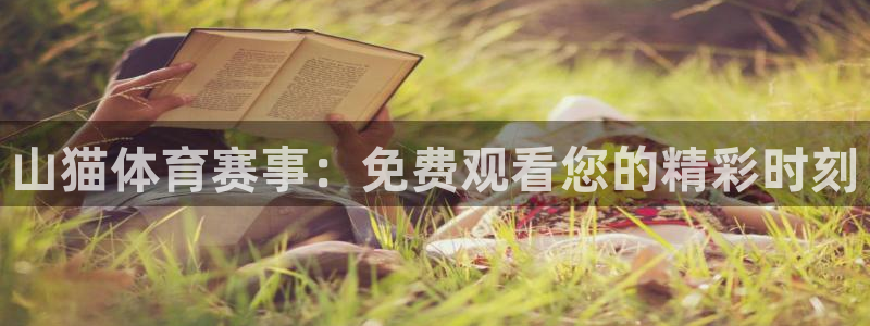 山猫体育赛事：免费观看您的精彩时刻