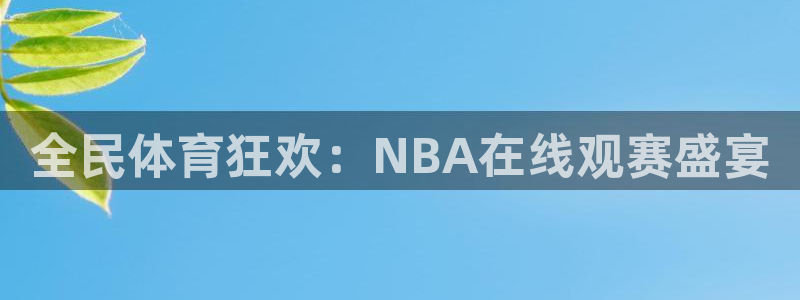 全民体育狂欢：NBA在线观赛盛宴