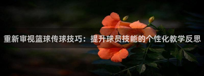 重新审视篮球传球技巧：提升球员技能的个性化教学反思