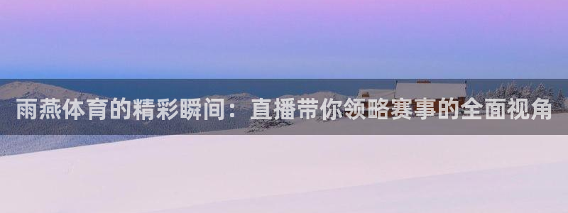 雨燕体育的精彩瞬间：直播带你领略赛事的全面视角