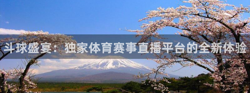斗球盛宴：独家体育赛事直播平台的全新体验