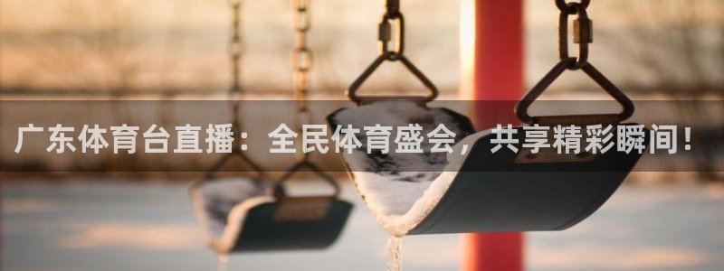 广东体育台直播：全民体育盛会，共享精彩瞬间！