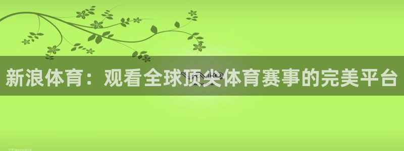 新浪体育：观看全球顶尖体育赛事的完美平台