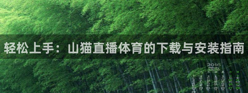 轻松上手：山猫直播体育的下载与安装指南