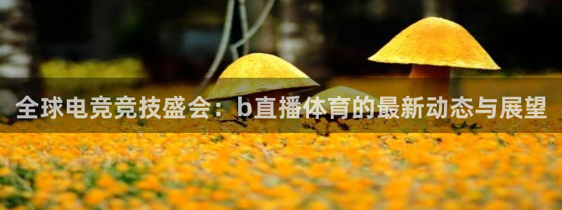 全球电竞竞技盛会：b直播体育的最新动态与展望
