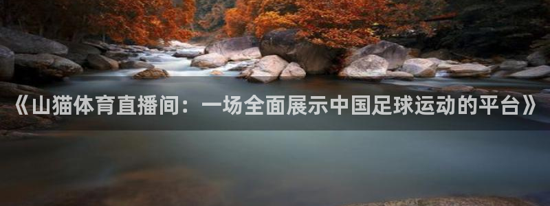 《山猫体育直播间：一场全面展示中国足球运动的平台》