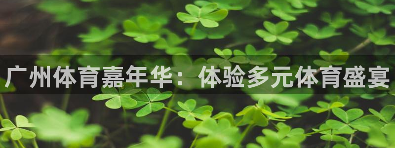 广州体育嘉年华：体验多元体育盛宴