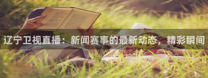 辽宁卫视直播：新闻赛事的最新动态，精彩瞬间