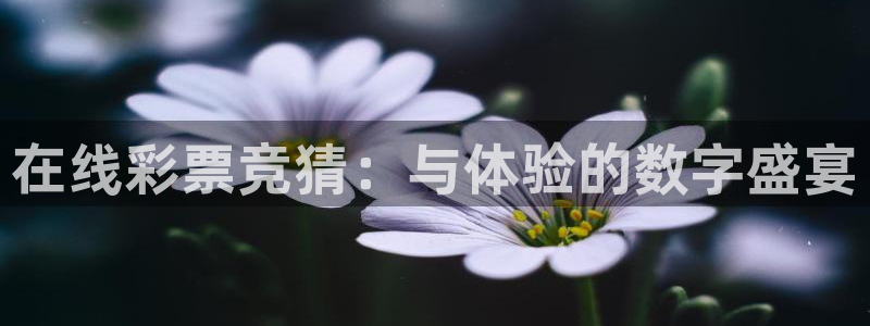 在线彩票竞猜：与体验的数字盛宴