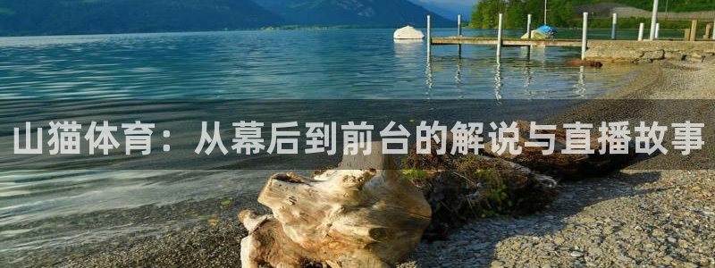山猫体育：从幕后到前台的解说与直播故事
