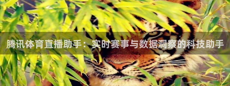 腾讯体育直播助手：实时赛事与数据洞察的科技助手