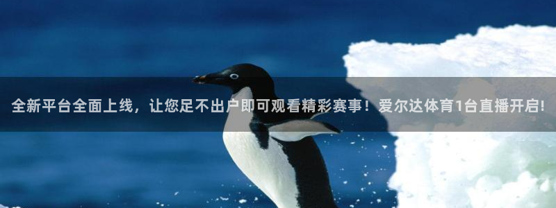 全新平台全面上线，让您足不出户即可观看精彩赛事！爱尔达体育1台直播开启!