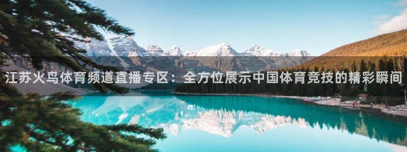江苏火鸟体育频道直播专区：全方位展示中国体育竞技的精彩瞬间