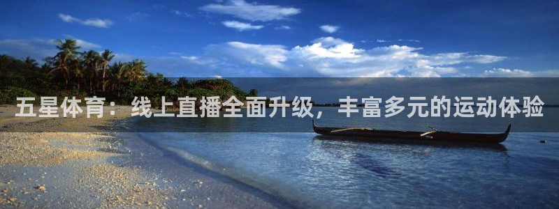 五星体育：线上直播全面升级，丰富多元的运动体验