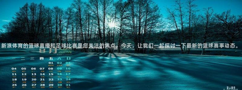 新浪体育的篮球直播和足球比赛是您关注的焦点，今天，让我们一起探讨一下最新的篮球赛事动态。