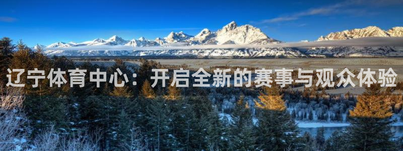 辽宁体育中心：开启全新的赛事与观众体验