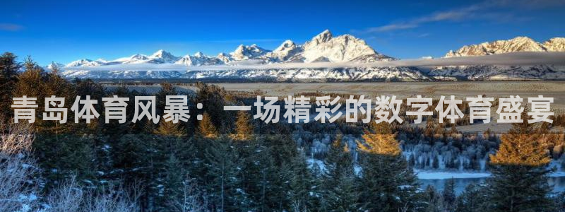 青岛体育风暴：一场精彩的数字体育盛宴