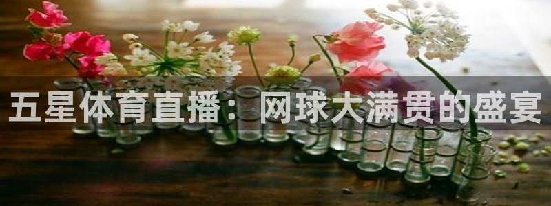 五星体育直播：网球大满贯的盛宴