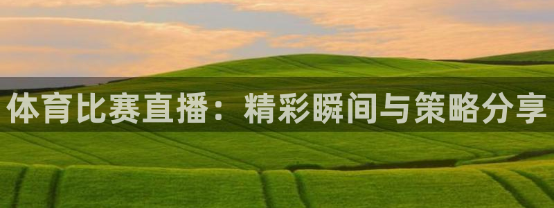 体育比赛直播：精彩瞬间与策略分享