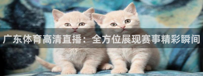 广东体育高清直播：全方位展现赛事精彩瞬间