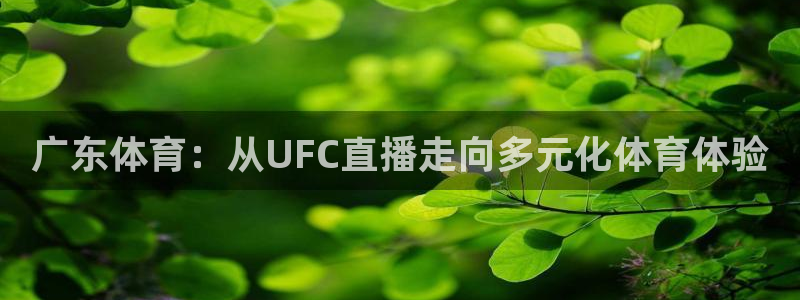 广东体育：从UFC直播走向多元化体育体验