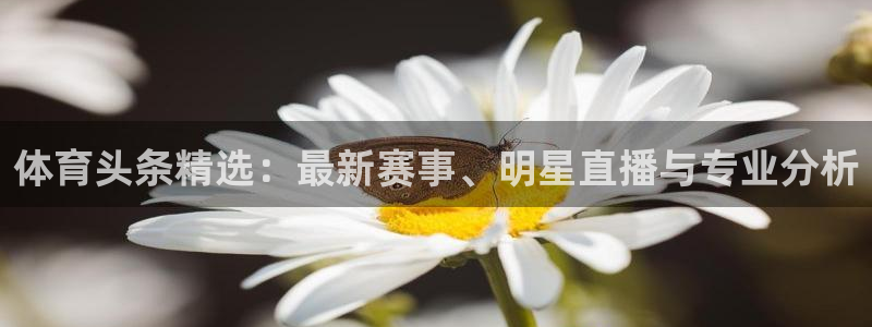 体育头条精选：最新赛事、明星直播与专业分析