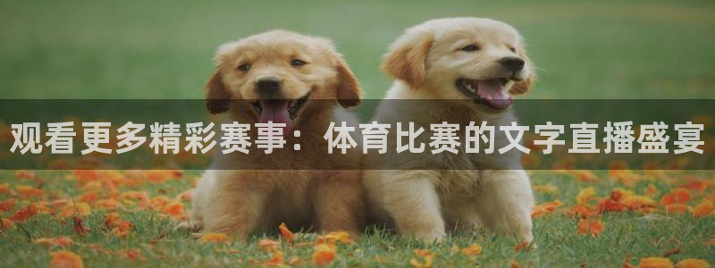 观看更多精彩赛事：体育比赛的文字直播盛宴