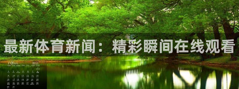 最新体育新闻：精彩瞬间在线观看