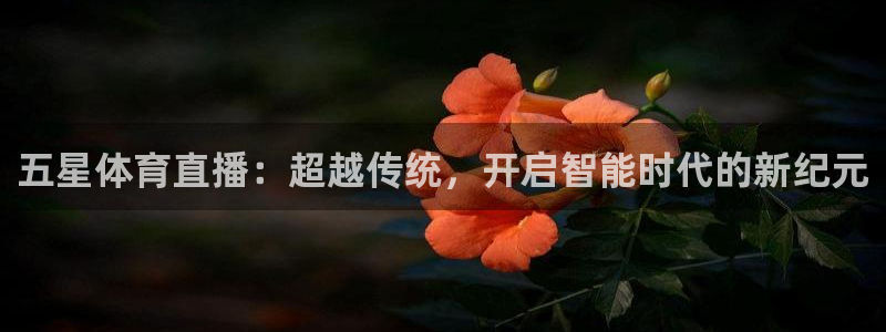 五星体育直播：超越传统，开启智能时代的新纪元