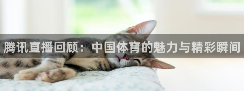 腾讯直播回顾：中国体育的魅力与精彩瞬间