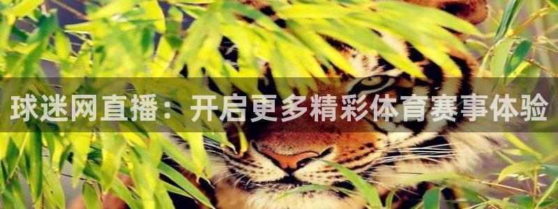 球迷网直播：开启更多精彩体育赛事体验